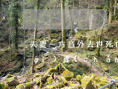 夫妻一方意外去世，死亡賠償屬于共同財(cái)產(chǎn)嗎？
